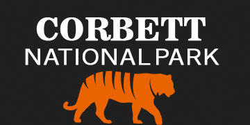 corbett