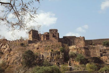 Ranthambore