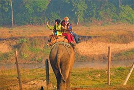 Jim Corbett Rishikesh Tour Package